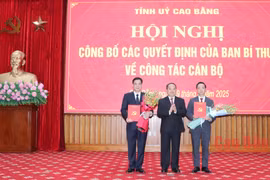 Tỉnh ủy Cao Bằng công bố các quyết định của Ban Bí thư về công tác cán bộ