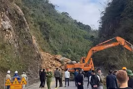 Tập trung ứng phó mưa lũ, giảm thiểu thiệt hại đối với hạ tầng đường bộ