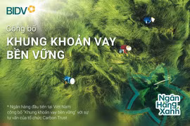 BIDV vào top 20 cổ phiếu phát triển bền vững nhất Việt Nam