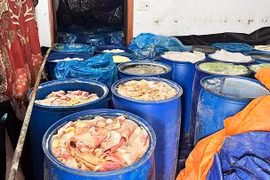 Gia Lai: Phát hiện khu chứa da, mỡ lợn bốc mùi hôi thối dùng để chế biến lạp xưởng