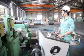 Doanh nghiệp thép Quốc tế Phương Anh (PAS) bị phạt vì báo cáo lỗ thành lãi