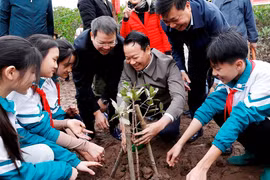 Trồng cây hưởng ứng Ngày Đất ngập nước thế giới