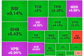 VN-Index vượt mốc 1.640 điểm, cổ phiếu ngân hàng ‘bung nóc kịch trần’
