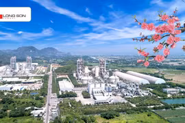 Xi măng Long Sơn – Chào xuân Bính Ngọ 2026