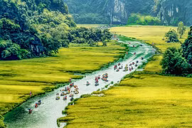 Ninh Bình dự kiến tổ chức Tuần lễ “Sắc vàng Tam Cốc-Tràng An” năm 2025 trong 7 ngày