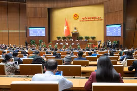 Một số cơ chế, chính sách đặc biệt đầu tư xây dựng Dự án điện hạt nhân Ninh Thuận