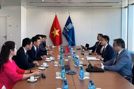 Tổng Giám đốc WIPO thăm Việt Nam, thúc đẩy hợp tác sở hữu trí tuệ và đổi mới sáng tạo