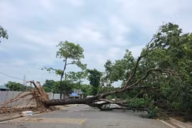 Hà Nội chủ động, tập trung ứng phó với siêu bão Ragasa
