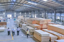 Gỗ Trường Thành (TTF) thoát lỗ nhờ bán tài sản, doanh thu tài chính vọt lên 18 lần