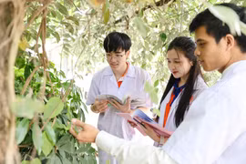 Bộ GD&ĐT công bố 'luật chơi mới' cho kiểm định đại học