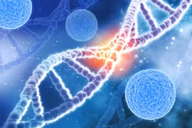 Bệnh lý đơn gene có thể ảnh hưởng đến cả một thế hệ tương lai