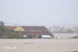 Cộng đồng quốc tế hỗ trợ Việt Nam khắc phục hậu quả thiên tai