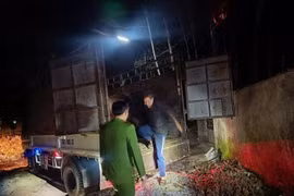 Thanh Hoá: Bắt đối tượng đi ô tô trộm cắp 2 con trâu