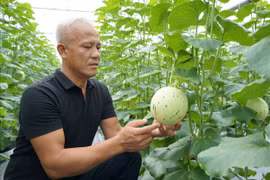 Doanh nhân Bùi Văn Phương: Dám “chọn việc khó” để làm chủ cuộc chơi nông sản