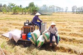 Vĩnh Long: Đổi mới cách tiếp cận, hướng tới giảm nghèo đa chiều
