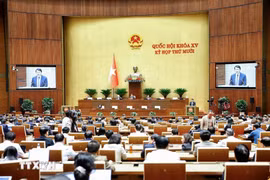 Sáng nay (12/11), Quốc hội thảo luận tại hội trường về hai dự thảo luật thi hành án