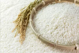 Thêm ba thị trường mới cho xuất khẩu gạo Việt