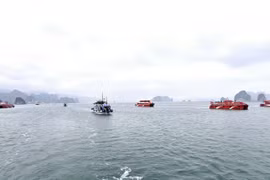 Kinh tế tư nhân Quảng Ninh: Bước ngoặt cho bứt phá và vươn mình