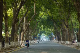 Dự báo thời tiết ngày 25/11: Hà Nội có nắng, ngày lạnh 13 độ
