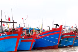 Ninh Bình: Thành lập Ban chỉ đạo chống khai thác thuỷ sản bất hợp pháp