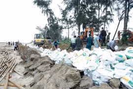 Toàn hệ thống chính trị tỉnh Hà Tĩnh vào cuộc ứng phó bão số 5 với phương châm ‘4 tại chỗ’