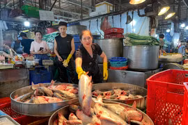 Chợ đầu mối thuỷ hải sản lớn nhất TP HCM nhộn nhịp ngày giáp Tết