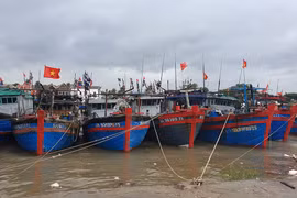 Bộ Xây dựng chỉ đạo theo dõi sát áp thấp nhiệt đới, kịp thời hướng dẫn tàu thuyền