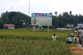 Viết tiếp bài báo: “Sai phạm trong quá trình giải ngân vốn Chương trình MTQG”: Yêu cầu kiểm điểm đối với tổ chức, cá nhân có liên quan
