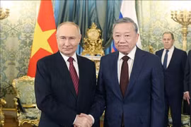 Tổng Bí thư Tô Lâm hội đàm với Tổng thống Nga Vladimir Putin
