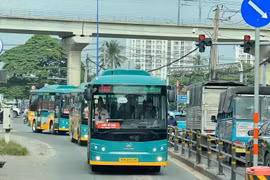 TP.HCM: Đưa vào khai thác 37 tuyến buýt mới, 50% phương tiện dùng năng lượng sạch
