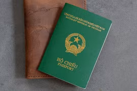 Cho phép nhập quốc tịch Việt Nam đối với người có công lao đặc biệt