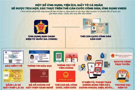 Kiểm toán việc đầu tư, sử dụng phần mềm phục vụ chuyển đổi số tại các địa phương