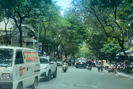 Dự báo thời tiết ngày 4/1: TP HCM có mưa trái mùa, sáng sớm trời se lạnh