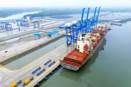 Cảng Phước An (PAP) lỗ kỷ lục 122,6 tỷ đồng trong quý I/2025, bổ sung lãnh đạo mới