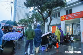 Dừng tổ chức sát hạch, cấp đổi giấy phép lái xe từ ngày 1/3