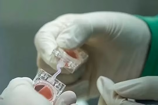Trung Quốc đưa phôi nhân tạo lên trạm vũ trụ để nghiên cứu sinh sản ngoài không gian