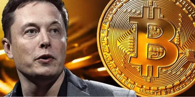 Sau dòng tweet của tỷ phú Elon Musk, Bitcoin và các loại tiền điện tử khác như đồng Ether và XRP cũng giảm giá mạnh.