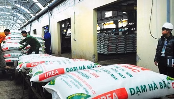 DHB vẫn trong vòng xoáy thua lỗ.