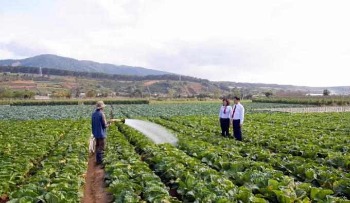 Chương trình xây dựng NTM với vai trò đầu tàu của Agribank đã làm bừng lên sức sống mới cho nông thôn Việt Nam và&nbsp;sẵn sàng bứt phá cho nấc thang phát triển vươn tầm nông thôn mới kiểu mẫu.