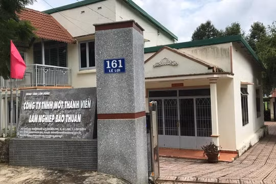 Hàng loạt sai phạm tại Công ty Lâm nghiệp Bảo Thuận, lãnh đạo tự ý “xẻo” đất rừng cho mục đích cá nhân