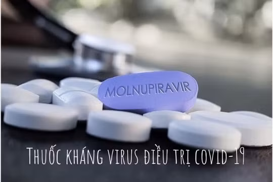 Việt Nam có khả năng sản xuất ít nhất 1 triệu liều Molnupiravir/ngày 