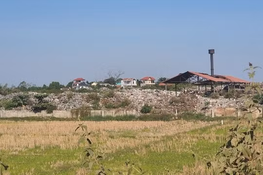 Xây dựng công viên sinh thái đáp ứng nguyện vọng cử tri