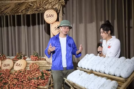 Những nghệ sĩ Việt hỗ trợ chống dịch giữa ồn ào showbiz