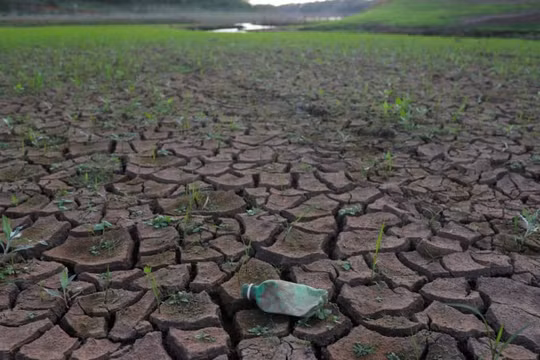 1,5°C và 2°C trong mục tiêu khí hậu khác nhau như thế nào?