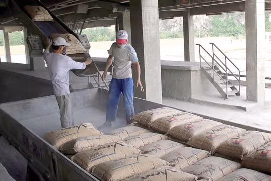 Sau thép, giá xi-măng đang có chiều hướng tăng mạnh