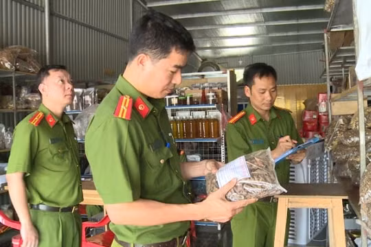 Vĩnh Phúc: Phát hiện hơn 1300kg dược liệu không rõ nguồn gốc