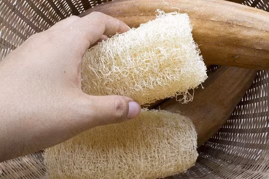Xơ mướp khô tái chế làm được 5 vật dụng hữu ích thân thiện với môi trường