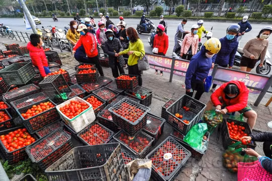 Quyết liệt chống dịch nhưng đừng quên sinh kế của dân nghèo!