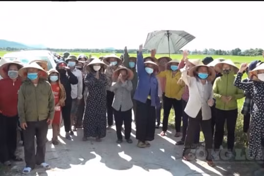 Hà Tĩnh chỉ đạo kiểm tra, xử lý dự án chăn nuôi của Công ty Khánh Giang