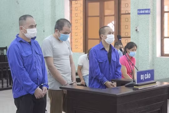 Cao Bằng: Mua bán trái phép chất ma túy, 3 đối tượng lĩnh 60 năm tù giam